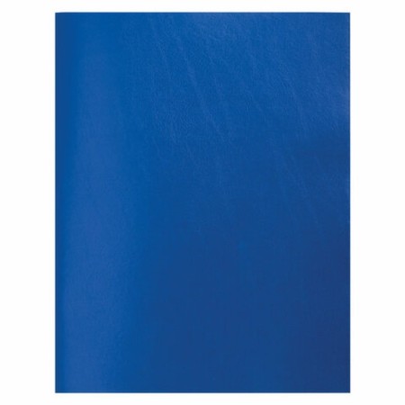 A4 notebook, in a cage, 80 staff sheets, blue