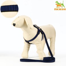 Acunition set is embossed, leash 120 x 1.5 cm, OG 36-49 cm, blue-black
