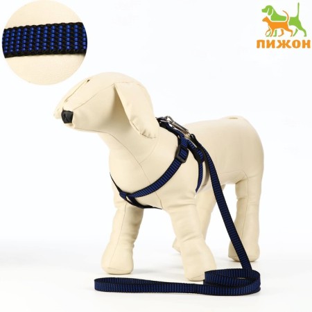 Acunition set is embossed, leash 120 x 1.5 cm, OG 36-49 cm, blue-black