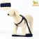 Acunition set is embossed, leash 120 x 1.5 cm, OG 36-49 cm, blue-black