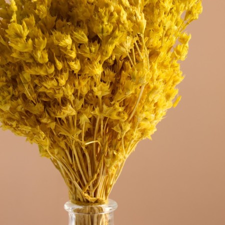 Set of dried flowers "chandra", banch length 40 (+/- 6 cm), apple-1