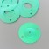 Sequins "circle in the ring" Mint set 30 g d = 2 cm