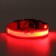 Collar with backlight size XL, Osh 52-60 x 2.5 cm, 3 glow modes red