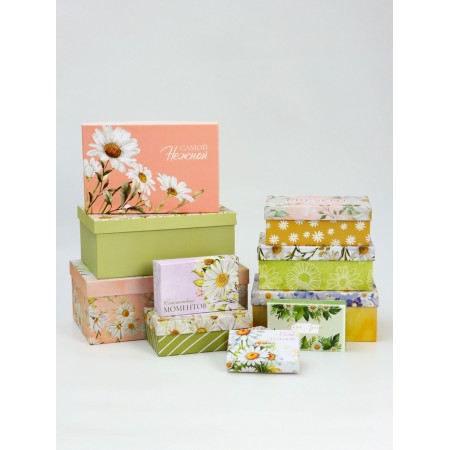 A set of boxes 10 in 1 "tender", 32.5 x 20 x 12.5 -12 x 7 x 4 cm-1