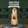 Figure "Gopher" height 28.5 cm, width 11 cm, length 11 cm