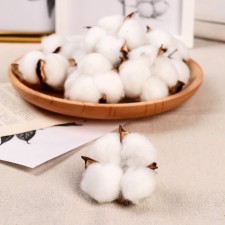 Sukhotzet 