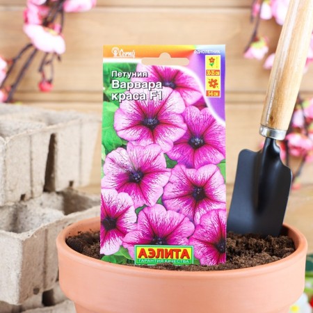 Petunia Fronts "Varvara Beauty F1" multi -flowered, o, 10 pcs