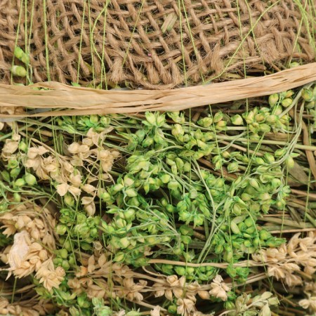 Kashpo, 19 x 16 x 11 cm, grass-3