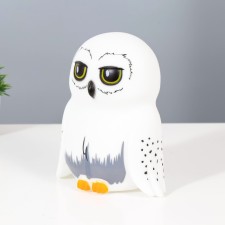 Night Owls LED from white batteries 10.5x15.5x18 cm Risalux