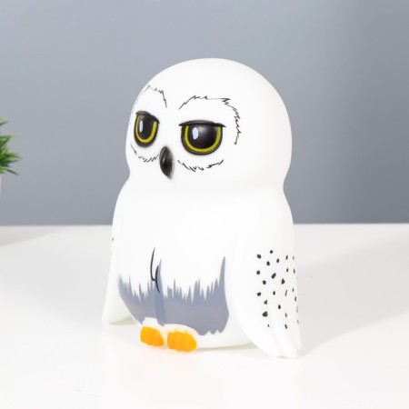 Night Owls LED from white batteries 10.5x15.5x18 cm Risalux