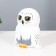 Night Owls LED from white batteries 10.5x15.5x18 cm Risalux