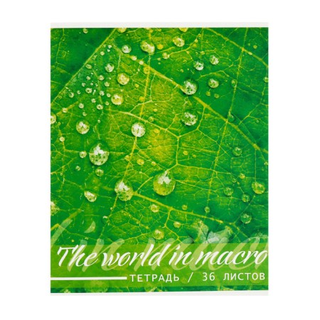 A set of notebooks of 5 pieces, 36 sheets in the Calligrata Micromium cage, covered cardboard, offset unit-8
