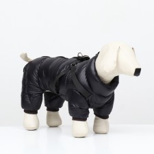Kombinson for dogs with a slope 