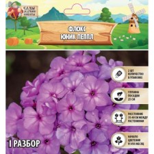 Флокс "Юник Пеппл" р-р I, 2 шт, Весна 2024