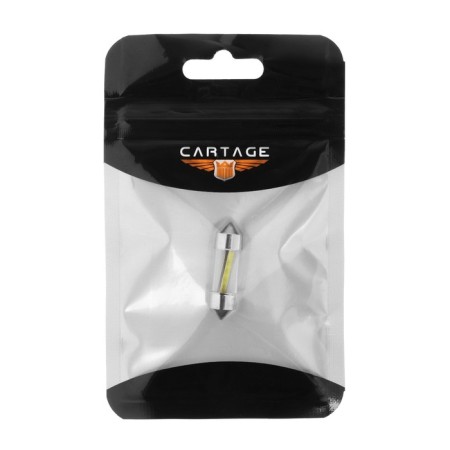 Auto Stuffing LED C5W, 12 V, 2 owls, 31 mm, 2.5 watts, white light-1