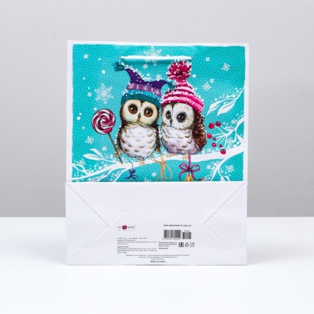 Gift package "Owls on a branch", 26 x 32 x 12 cm-1