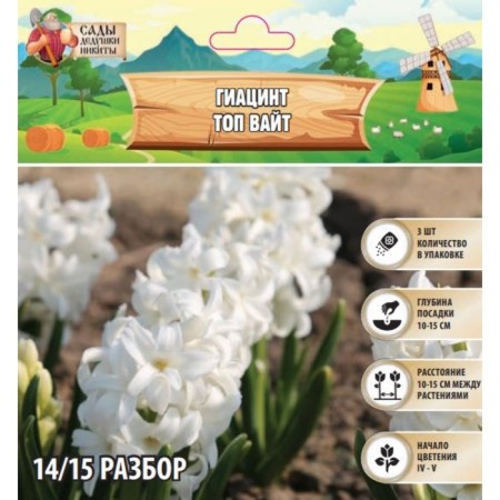 Hyacinth Top White, rr 14/15, 3pcs, autumn 2024