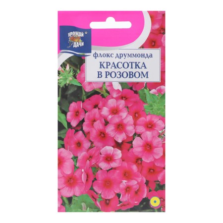 Flowers Flox "Beauty in Pink", 0.1 g