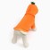 Sweep "Favorite Carrot", size M (DS 30, OG 44 cm)