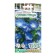 Flower seeds of the Hypomue Purple "Blue Bird", 0.3 g