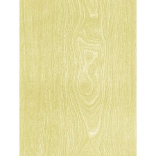 Self -adhesive film 