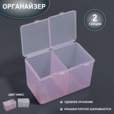 Organizer for storage, with a lid, 2 sections, 6.7 × 12.5 × 7.5 cm, color mix