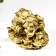NECSK Polystone Bronze "Cash toad Yin-Yang with gold ingots" 4.8x6.5x8.5 cm
