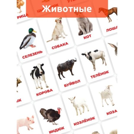 Puzzle "Developing cards. Pets"-1