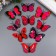 Magnet Plastic "Butterfly single wings pink" 4x6 cm