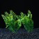 Set of artificial plants for aquarium (2 pcs), 15.5 cm