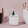 Organizer for storage "Cactus", with a lid, D - 7 × 11 cm, white/transparent color