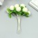 Stamens for flowers "Blood Milk ball" d = 1.5-2 cm 1 bouquet = 10 pcs 10 cm