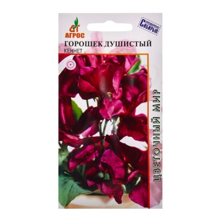 Seeds of peas fragrant Kennet 1g*