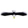 Perenochka Funky Toys "Eagle", black and white color