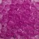Aquagrunt Fuchsia, 10 g