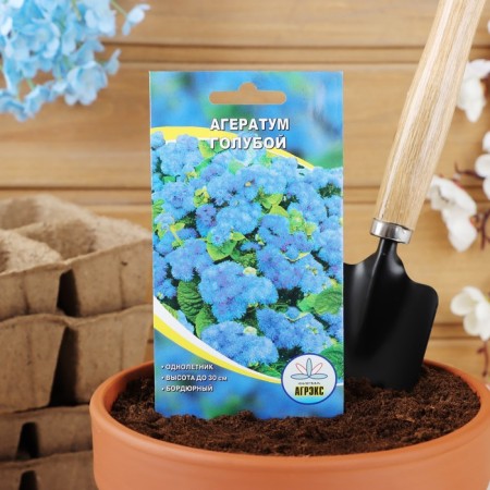 Flower seeds Ageratum blue, o, 0.1 g-2