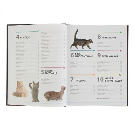 Cats. The most complete illustrated encyclopedia. Dudnikova S.S., Esualenko O.V.-5