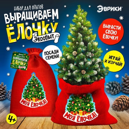 Set for experiments "grow a Christmas tree"