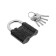 The castle of the hinged "Allur" VS1Ch-460, the handle d = 9 mm, 5 keys
