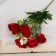 Bouquet "Rosa Tender Galant" 4x29 cm, mix