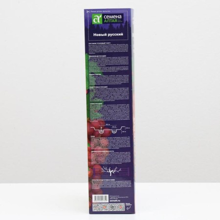 Grape seedling new Russian spring 2024, 1 pc.-1