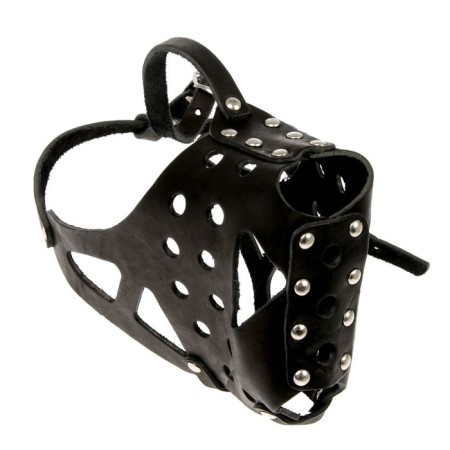 The muzzle is fir -white, length on the nose 6.5 cm, ohm 35 cm, rottweiler, black-1