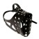 The muzzle is fir -white, length on the nose 6.5 cm, ohm 35 cm, rottweiler, black