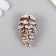 Decor for creativity "spruce branches and cones" set of 12 pcs 4x2x2; 4.5x3x3 cm