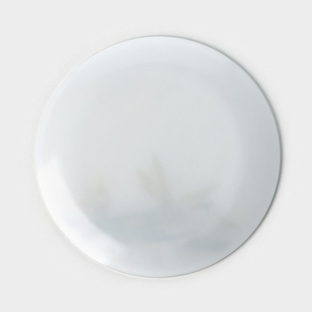 Bamboo Glass Plate, D = 21.5 cm-4