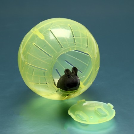 Ball for rodents "Pigger", 12 cm, yellow-2