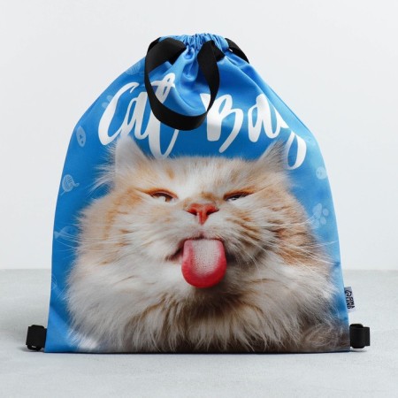 Cat BAG shoe bag two types of handles, 30 x 40 cm-1
