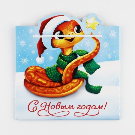 Gift package "Snake", 25 x 26 x 10 cm, New Year-7
