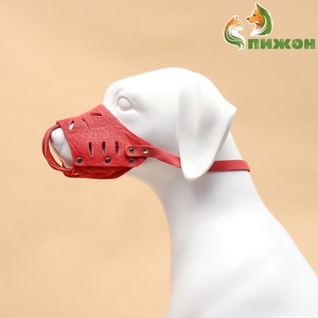 The muzzle adjustable of soft leather, size No. 4, DN 7-9 cm, ohm 22-25 cm, brown