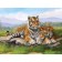 Diamond mosaic with full filling on the canvas "Tigers", 30 x 40 cm